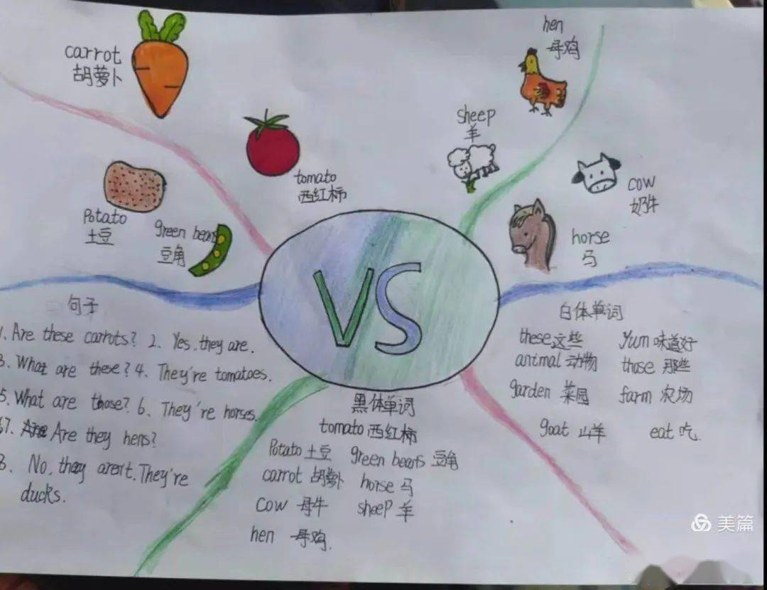 关于英语动物思维导图怎么画_动物的成长思维导图英语_动物思维导图英语版